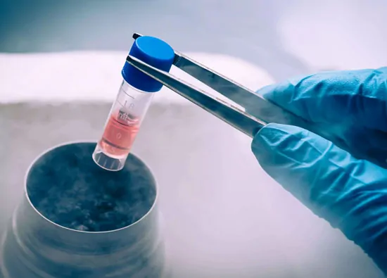 Egg Freezing