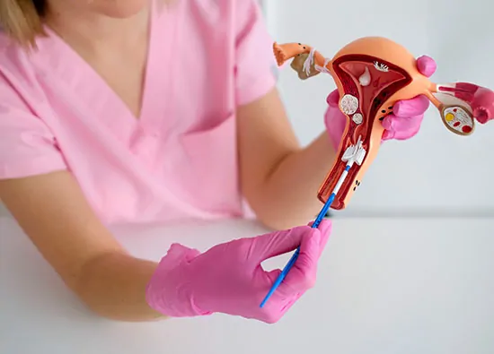 Operative Hysteroscopy (Simple-Coil Removal)