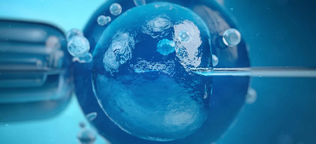 Intra Cytoplasmic Sperm Injection (ICSI)