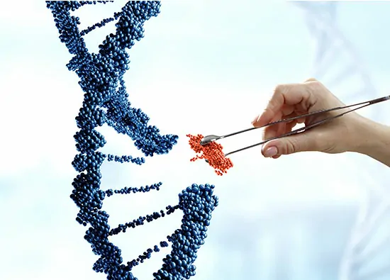 Preimplantation Genetic Diagnosis (PGD)