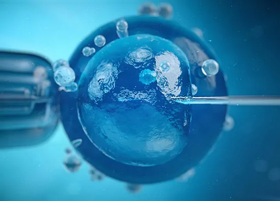 Intra Cytoplasmic Sperm Injection (ICSI)