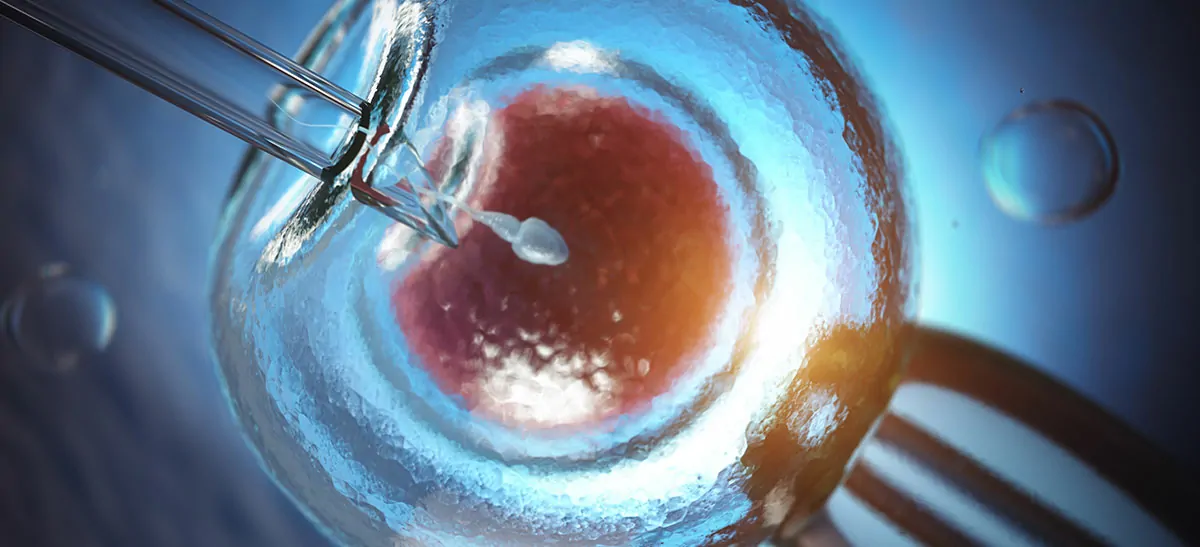 IVF Treatment