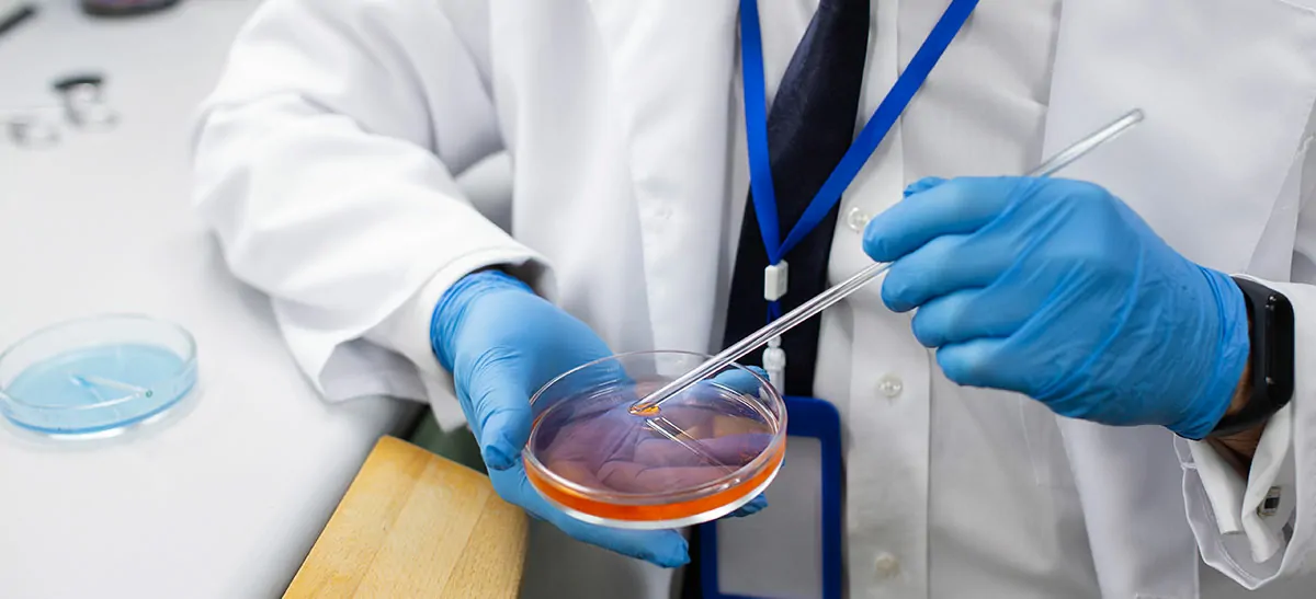 Surgical Sperm Retrieval (PESA/TESA)